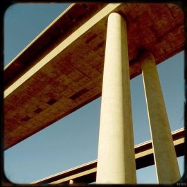 1238295_10151896889601011_1213277395_n