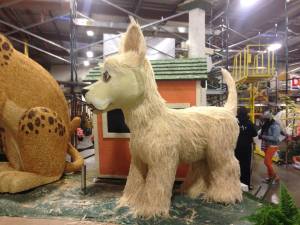 1503883_558748330882139_1835351988_n