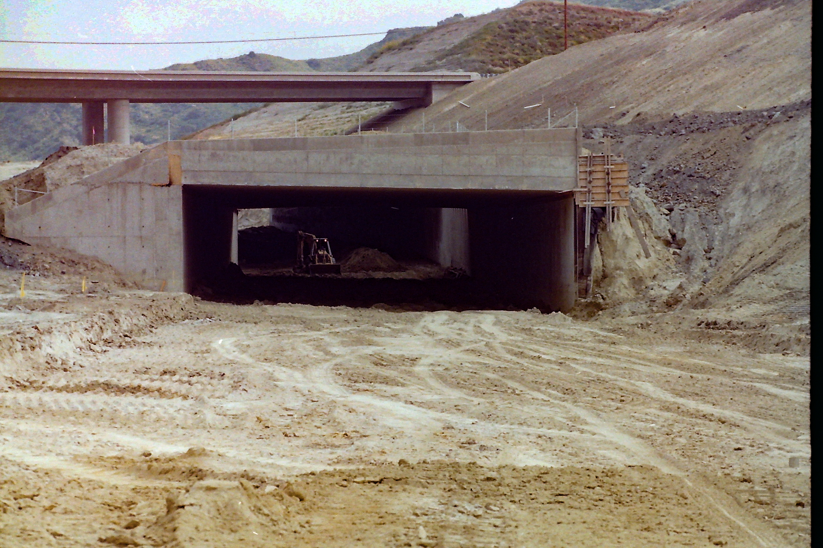 My beautiful picture