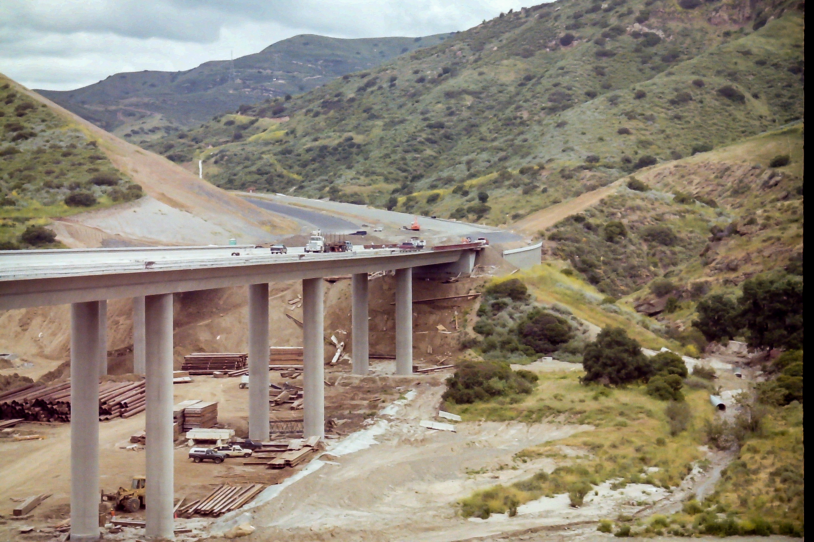 My beautiful picture