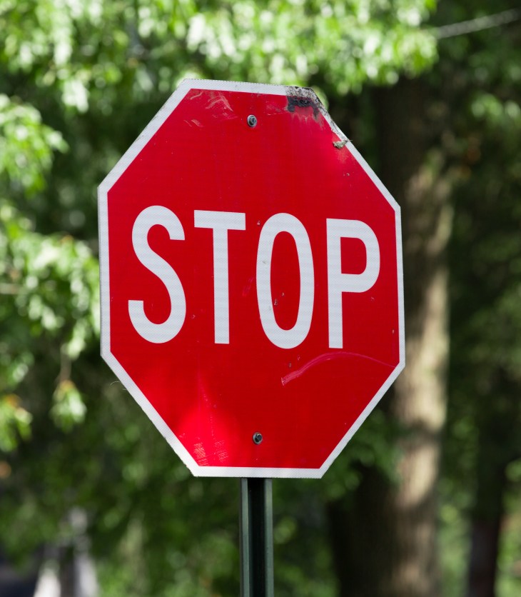 Stop sign in front of a tree