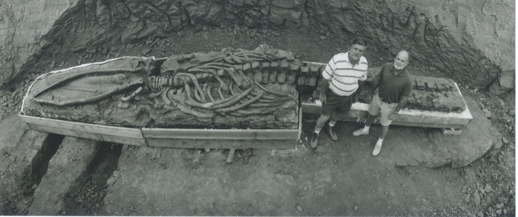 Photo of pre-historic baleen whale fossil with two men standing next to it. 