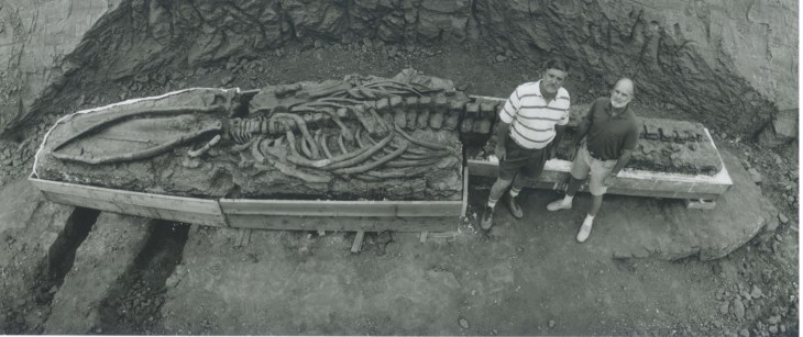 photo of two people standing next to a baleen whale fossil