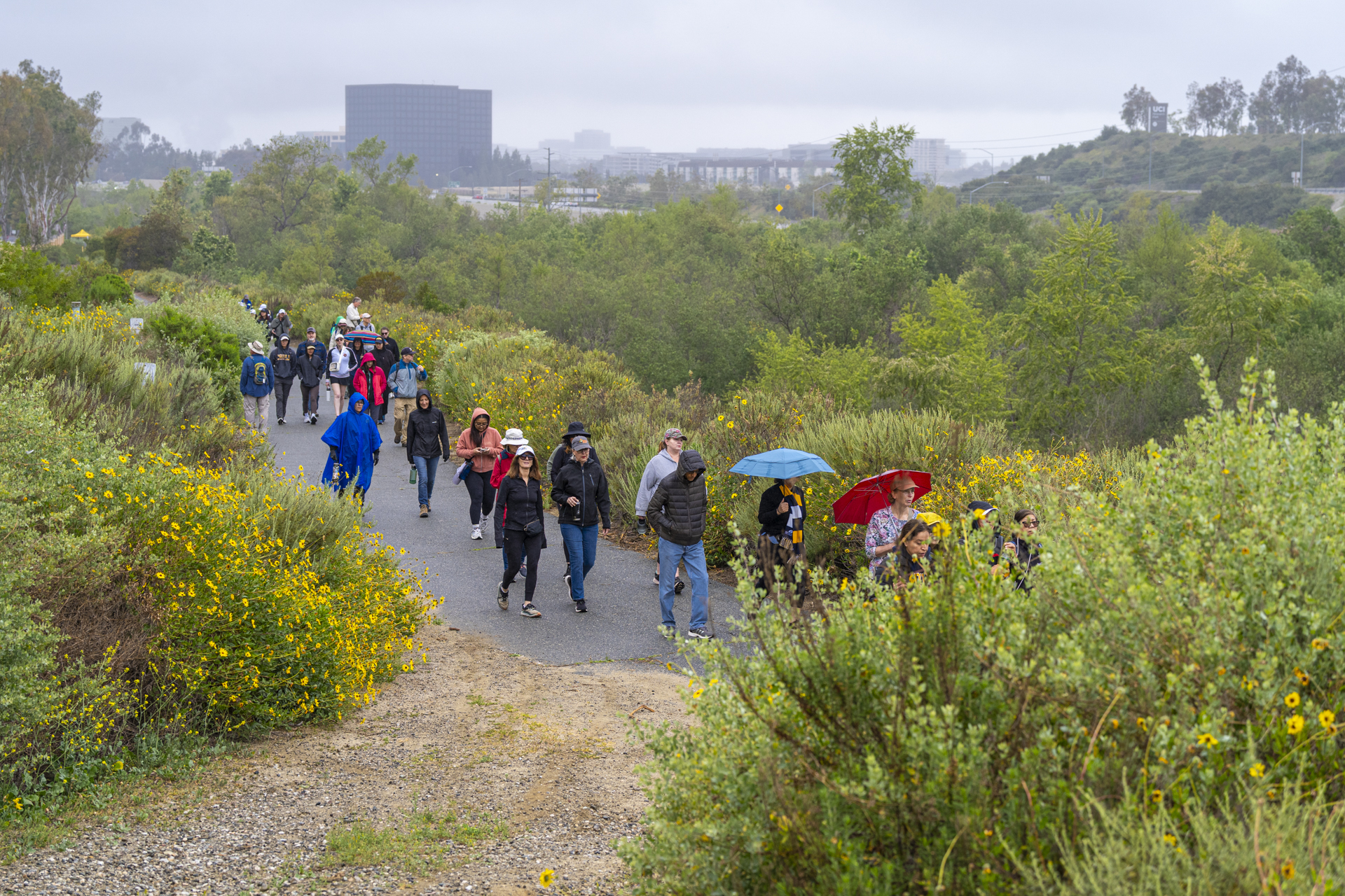Hikers walking along a trail