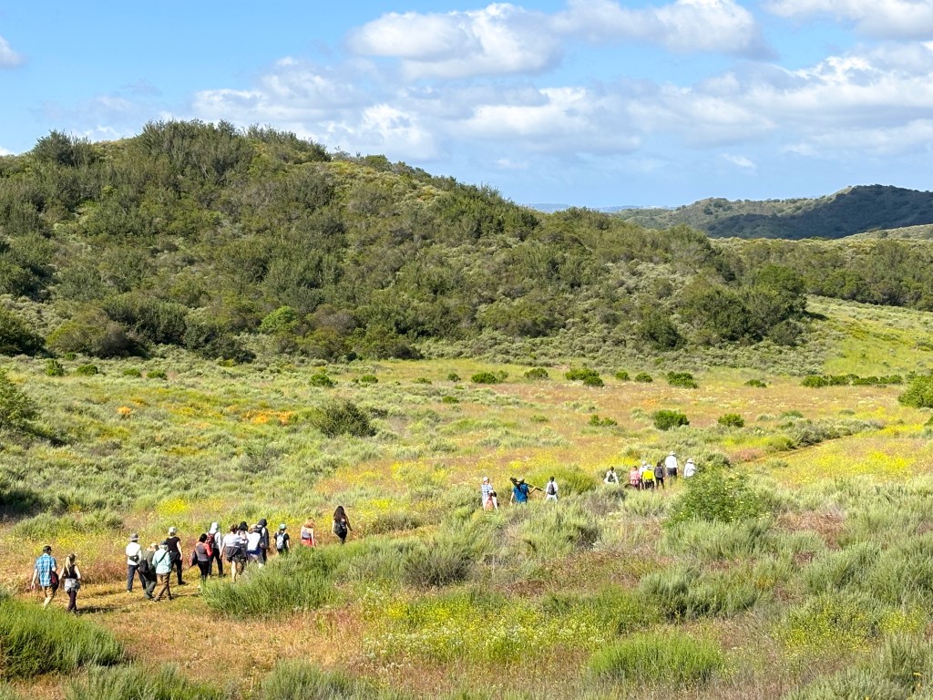 photo of a group of hikers walking through a field with blue skies and large hills in the background