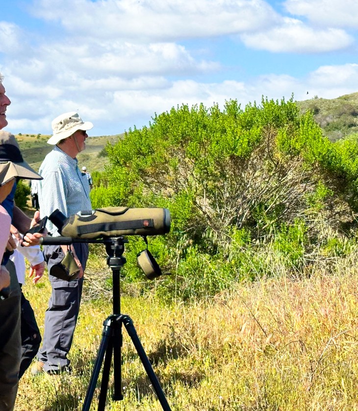 people looking through binoculars at wildlife next to a large green bush in a grassy field