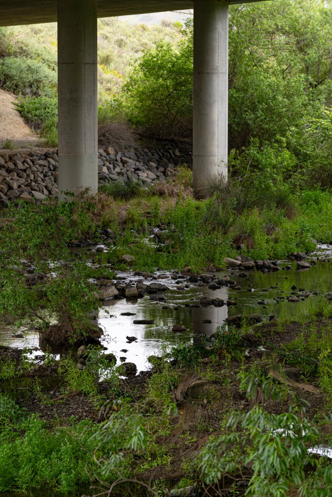 photo of a creek with lots of greenery and rocks running under a roadway 