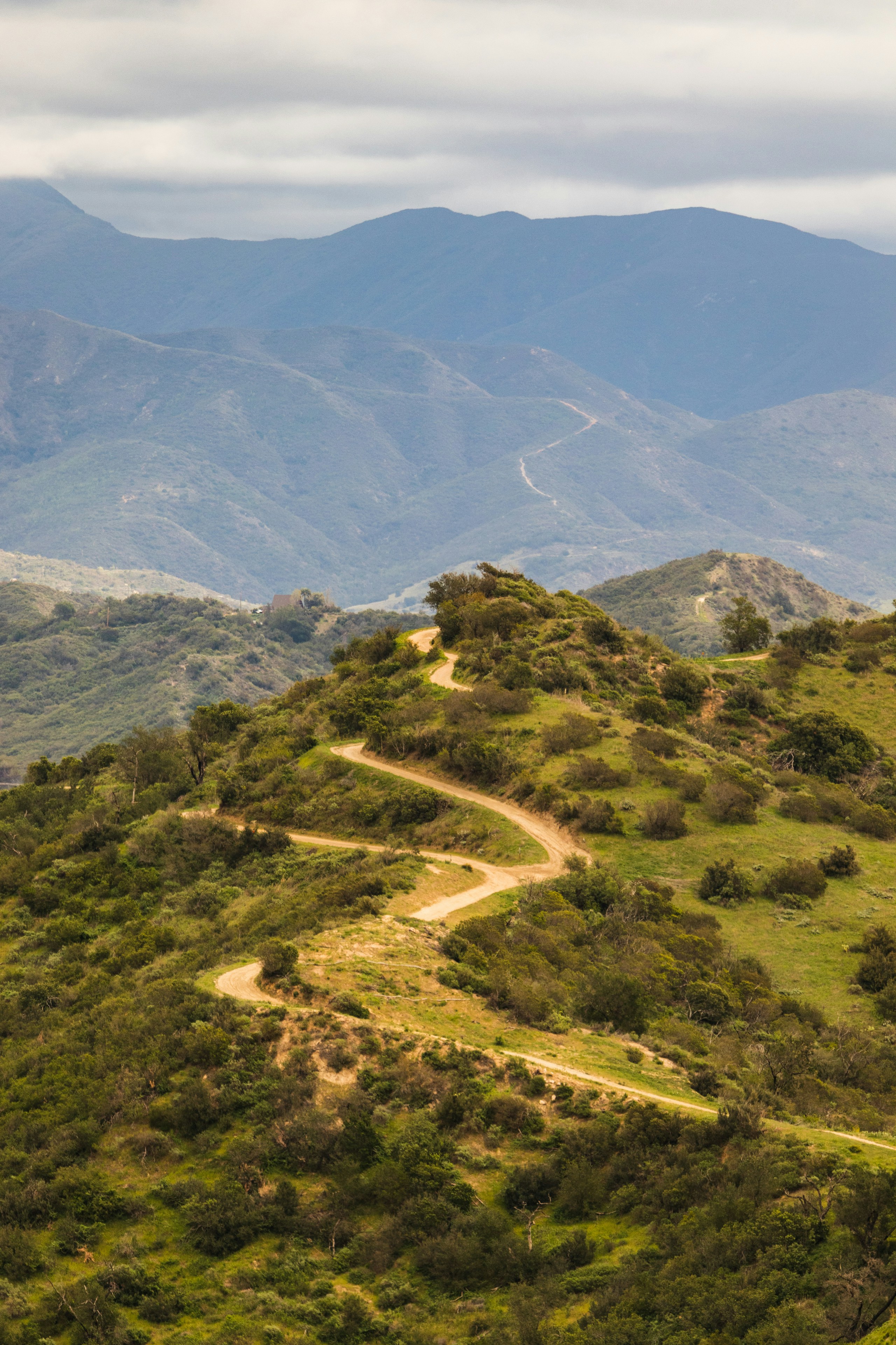 Photo of a hiking trail on a green mountain